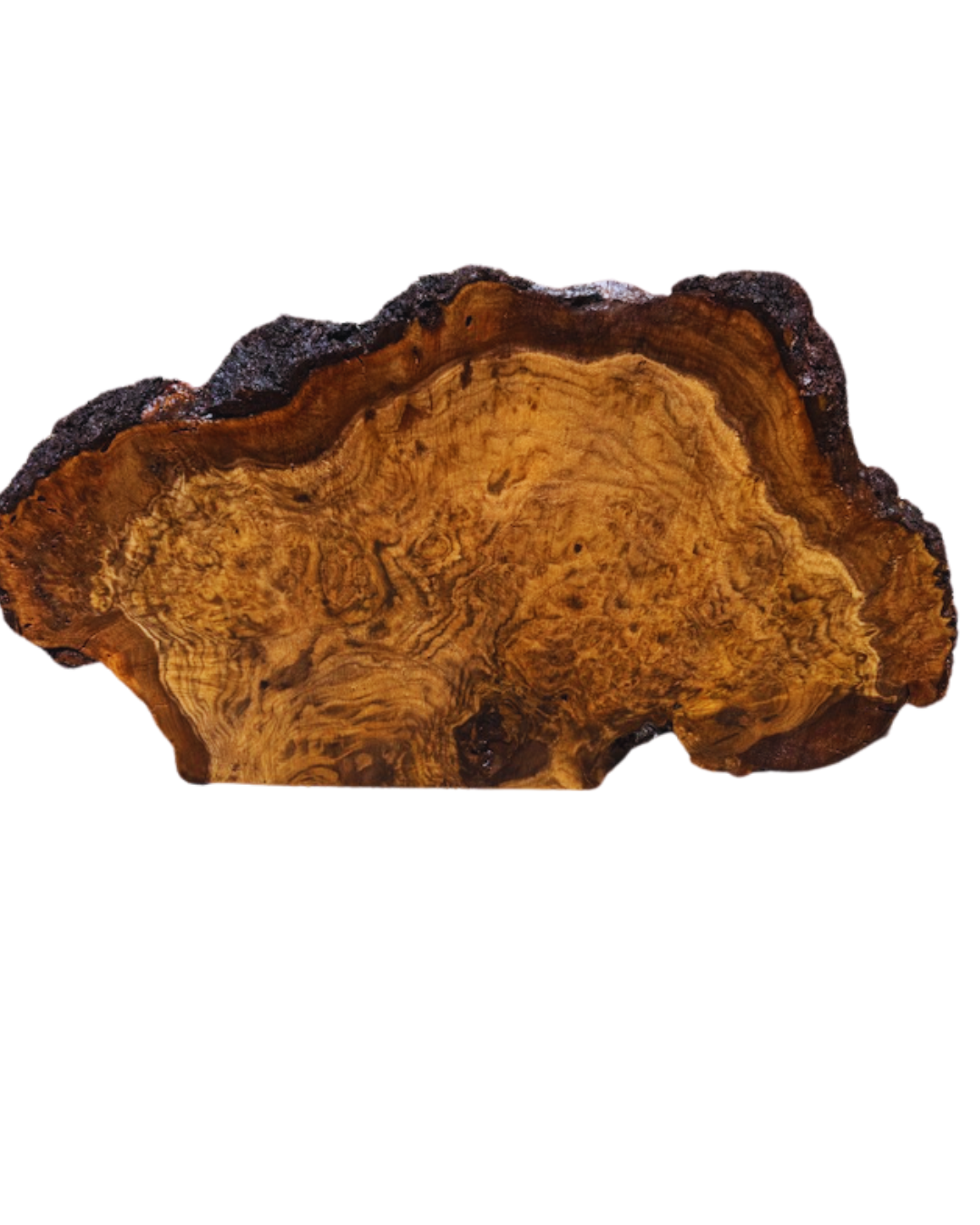 Walnut Burl Slab